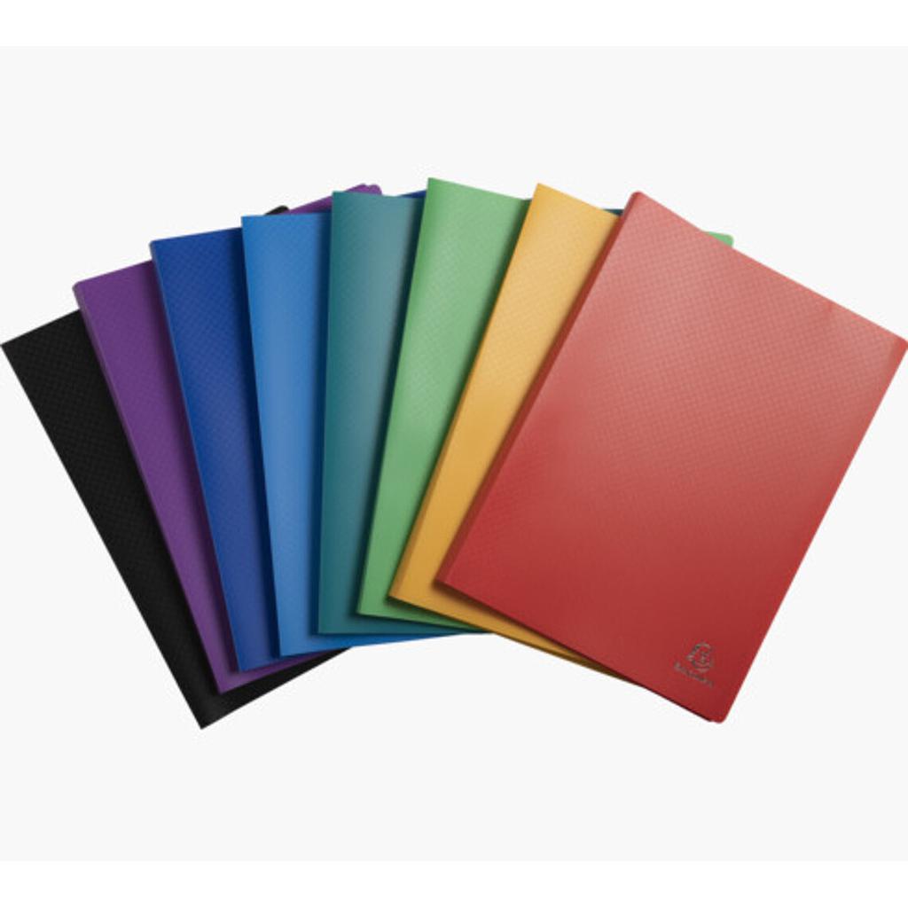 Porte Vues Soudes Exacompta 120 Vues 60 Pochettes 8560E  Assorties